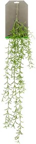 Hoya bush vine umelá rastlina