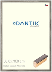 DANTIK rám na obraz 50x70 | Metalli oidati AGsvětlá (Plexi Čiré)