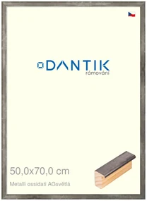 DANTIK rám na obraz 50x70 | Metalli oidati AGsvětlá (Plexi Čiré)
