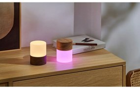 Stmievateľná stolová lampa v prírodnej farbe so skleneným tienidlom (výška 10,5 cm) Lemelia - Gingko