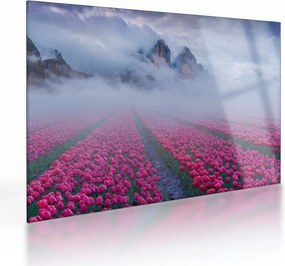 Sklenený obraz - Krajina s tulipánovými poľami (70x50 cm)