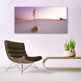 Obraz plexi Púšť písek krajina 120x60 cm