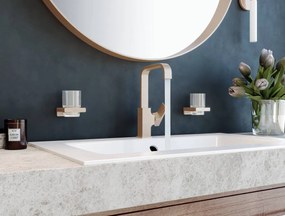 Hansgrohe AddStoris, nádobka na ústnu hygienu, kartáčovaný bronz, HAN-41749140