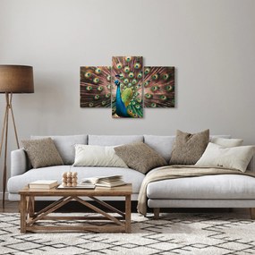 Obraz - Páv (90x60 cm)