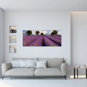 Obraz - Levanduľové pole a hory (120x50 cm)