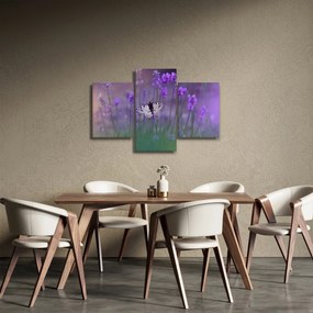 Obraz - Motýľ v levanduli (90x60 cm)