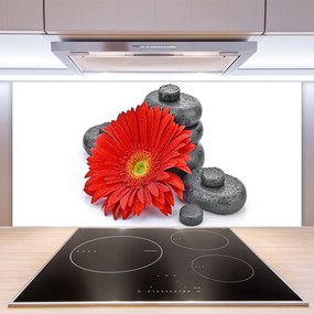 Sklenený obklad Do kuchyne Kvety gerbery kamene zen 125x50 cm