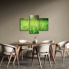 Obraz - rosa na tráve (90x60 cm)