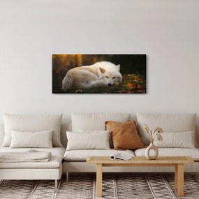 Obraz - Odpočívajúci vlk (120x50 cm)