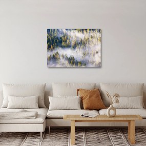 Obraz stromov v hmle (70x50 cm)
