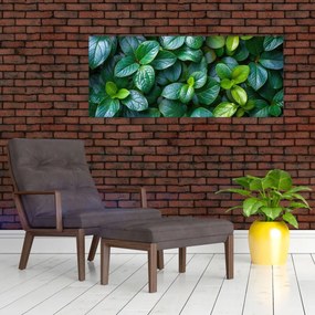 Obraz - Zelené rastliny (120x50 cm)