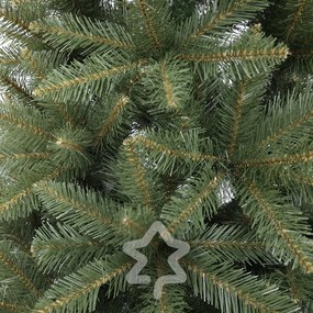 Smrek Kavkazský 180 cm