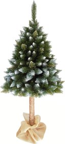 Vianočný stromček na pníku, posnežený, 220 cm, CHRISTEE 7