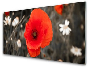 Obraz na akrylátovom skle Kvety rastlina 100x50 cm