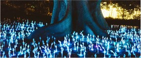 Obraz - Magický strom (120x50 cm)
