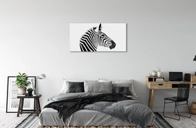 Obraz na akrylátovom skle Ilustrácie zebra 100x50 cm
