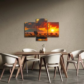 Obraz - Stádo slonov (90x60 cm)