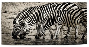 Sablio Uterák Zebry pri vode - 50x100 cm