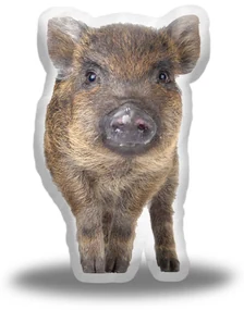 Sablio 3D vankúš Prasiatko