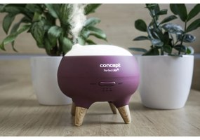 Concept DF1011 aróma difuzér Perfect Air Berry
