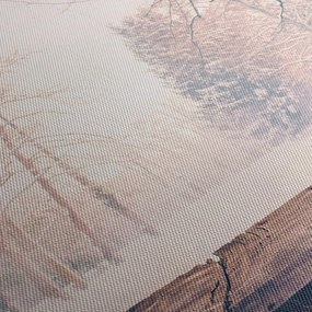 Obraz - Výhľad do lesa (120x50 cm)