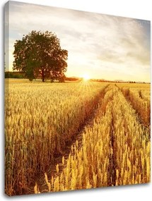 Obraz na stenu LÚKA_053-12