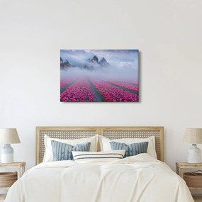 Obraz - Krajina s tulipánovými poľami (90x60 cm)