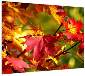 Obraz jesenných listov (70x50 cm)
