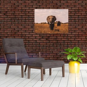 Sklenený obraz - Príchod slona (70x50 cm)