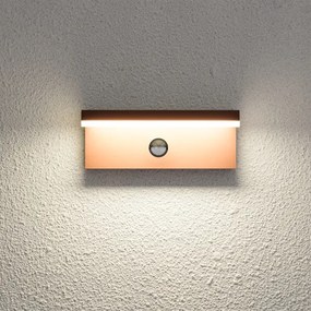 Brilagi-LED Vonkajšie nástenné svietidlo so senzorom TESSI LED/10W/230V hnedé IP54