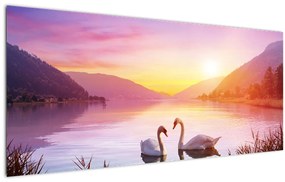 Obraz zamilovaných labutí (120x50 cm)