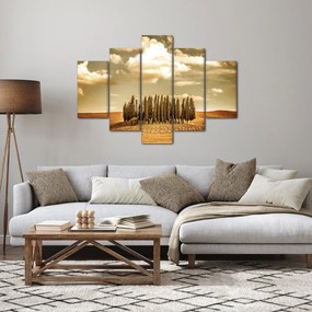 Obraz čistinky (150x105 cm)