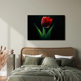 Obraz červená tulipánová elegancia