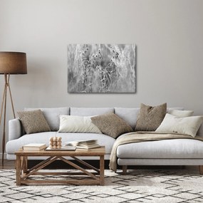 Obraz - Divoká lúka (70x50 cm)