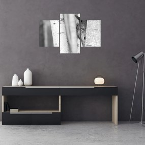 Obraz - Vlk v lese (90x60 cm)
