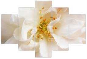 Obraz - Kvet (150x105 cm)
