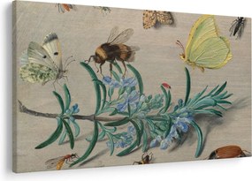 Obraz - Jan van Kessel the Elder, Insects and a Sprig of Rosemary, reprodukcia (90x60 cm)