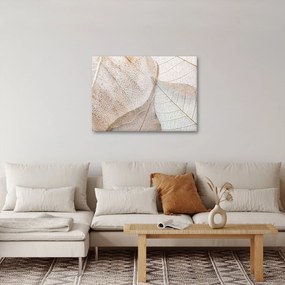 Obraz - Béžové listy (70x50 cm)