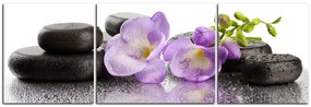 Obraz na plátne - Lávové kamene a fialové kvety - panoráma 563C (120x40 cm)