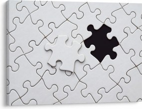 Obraz puzzle (70x50 cm)