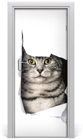 Fototapeta samolepiace na dvere mačka v diere 75x205 cm