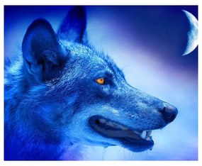 780416 NORIMPEX 5D Diamantová mozaika - Midnight Wolf