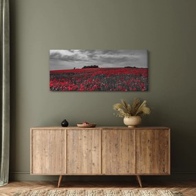 Obraz vlčích makov (120x50 cm)