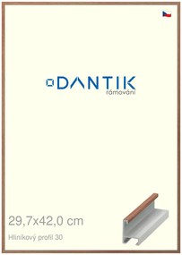 DANTIK rám na obraz 29,7x42 | ALU Dýha ořech lak matný (Plexi Čiré)