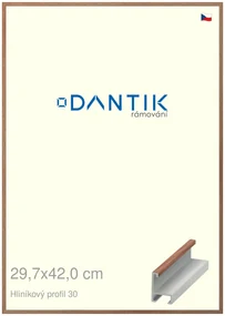 DANTIK rám na obraz 29,7x42 | ALU Dýha ořech lak matný (Plexi Čiré)
