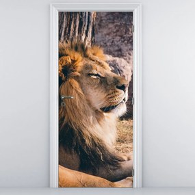 Fototapeta na dvere - Ležiaci lev (95x205cm)