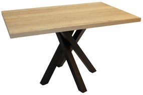 BRADOP Rozkladací jedálenský stôl DAMIAN 120(160)x80