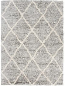 Kusový koberec shaggy Mirza sivý 140x200cm