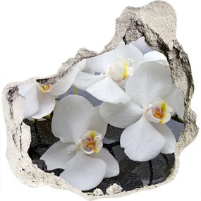 Samolepiaca diera nálepka Orchidea nd-p-143985624