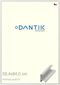 DANTIK rám na obraz 59,4x84 | ALU Stříbrná matná (Plexi Čiré)